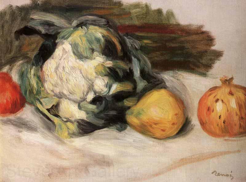 Pierre-Auguste Renoir Cauliflower and pomegranates Germany oil painting art